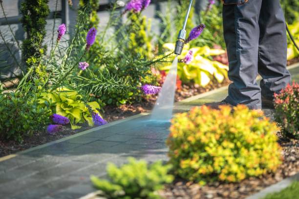 Best Concrete Surface Cleaning in Brielle, NJ
